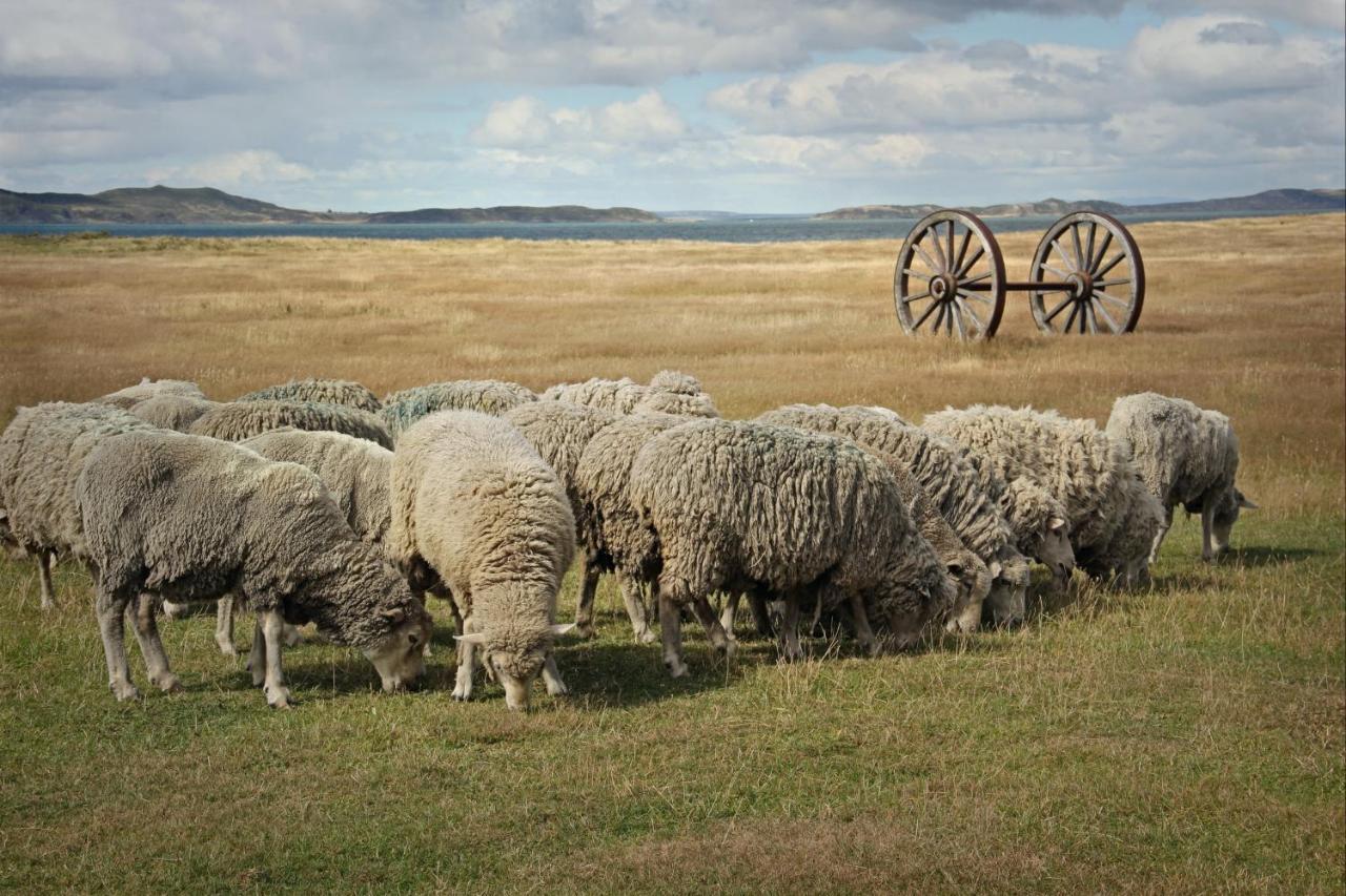 Vinnhaus Puerto Natales Dış mekan fotoğraf